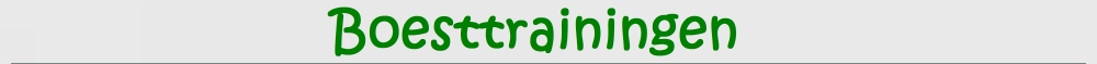 Boesttrainingen
